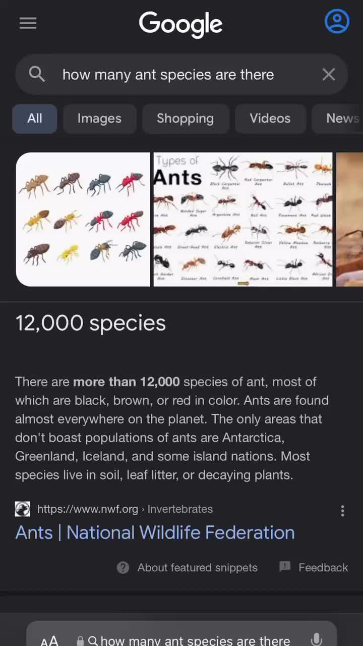 Join The Ants and start your legend!