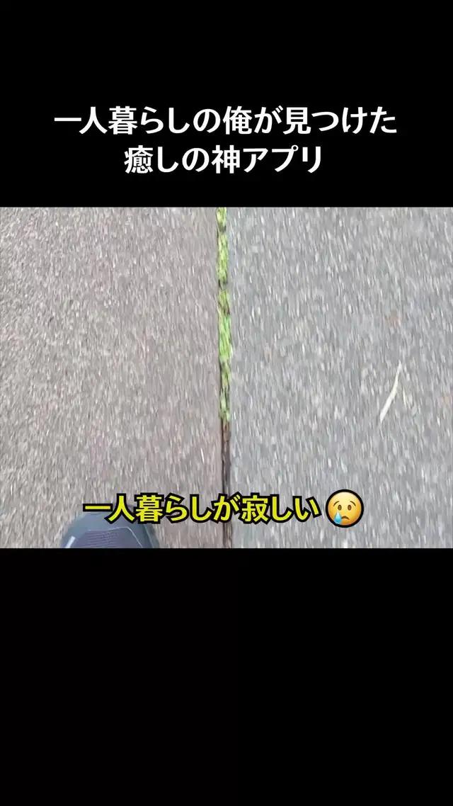 初心者でも楽しめるライブ配信アプリ