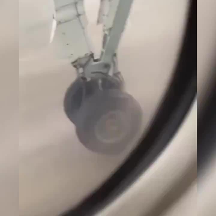 Easy to master a new word every day.