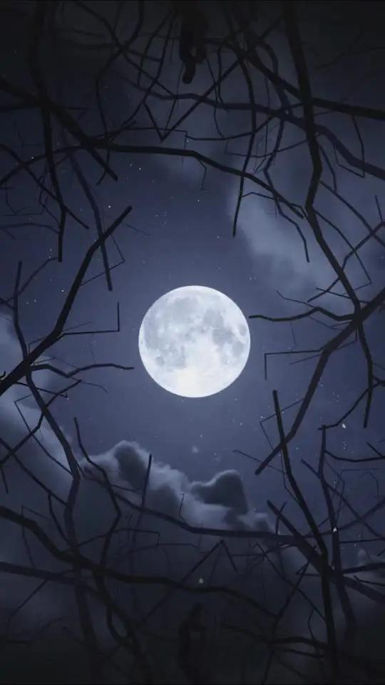 Download now & win rewards worth $199!