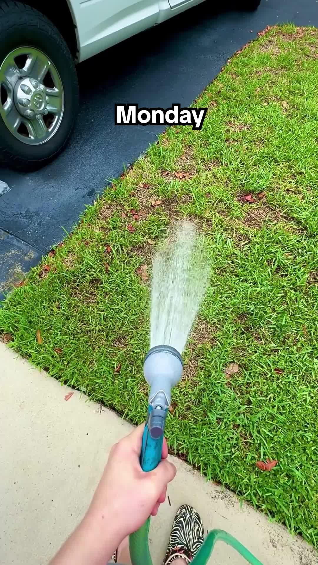 Save your lawn with PlantIn!