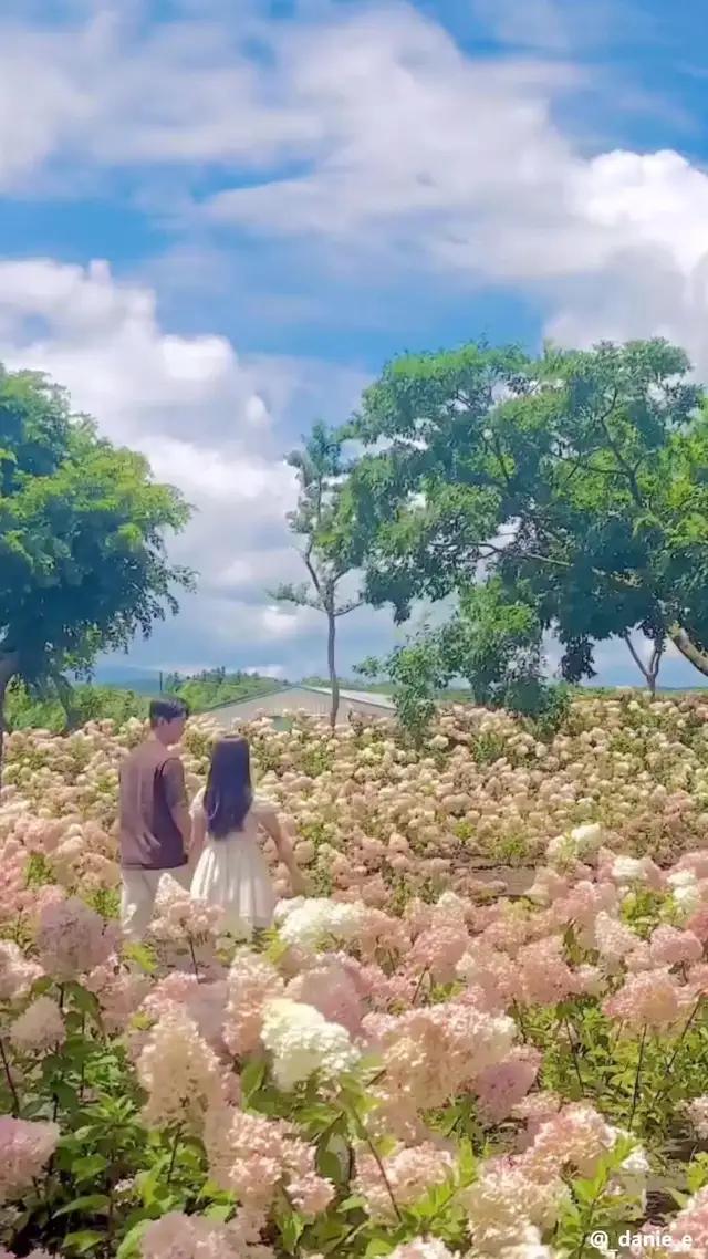 旅行予定が急に変更になっても安心！安全でフレキシブルな旅をお得に楽しむなら、Trip.comがおすすめ！