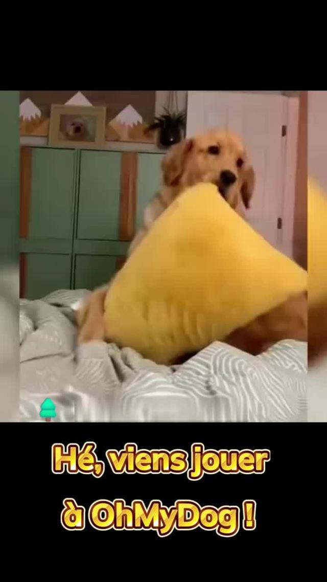 El primer juego móvil de personajes de perros