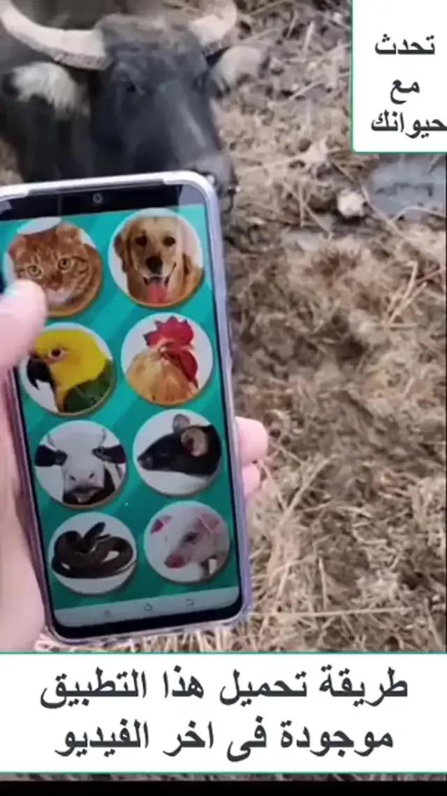 التحميل الان