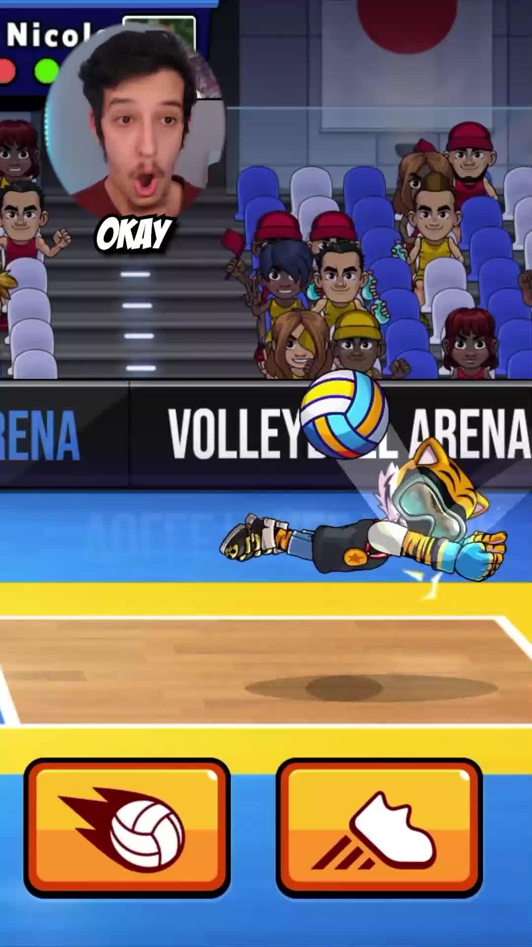 Download Volleyball Arena Now