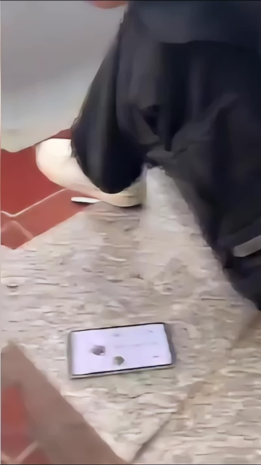 Stop intruders: Phone protection