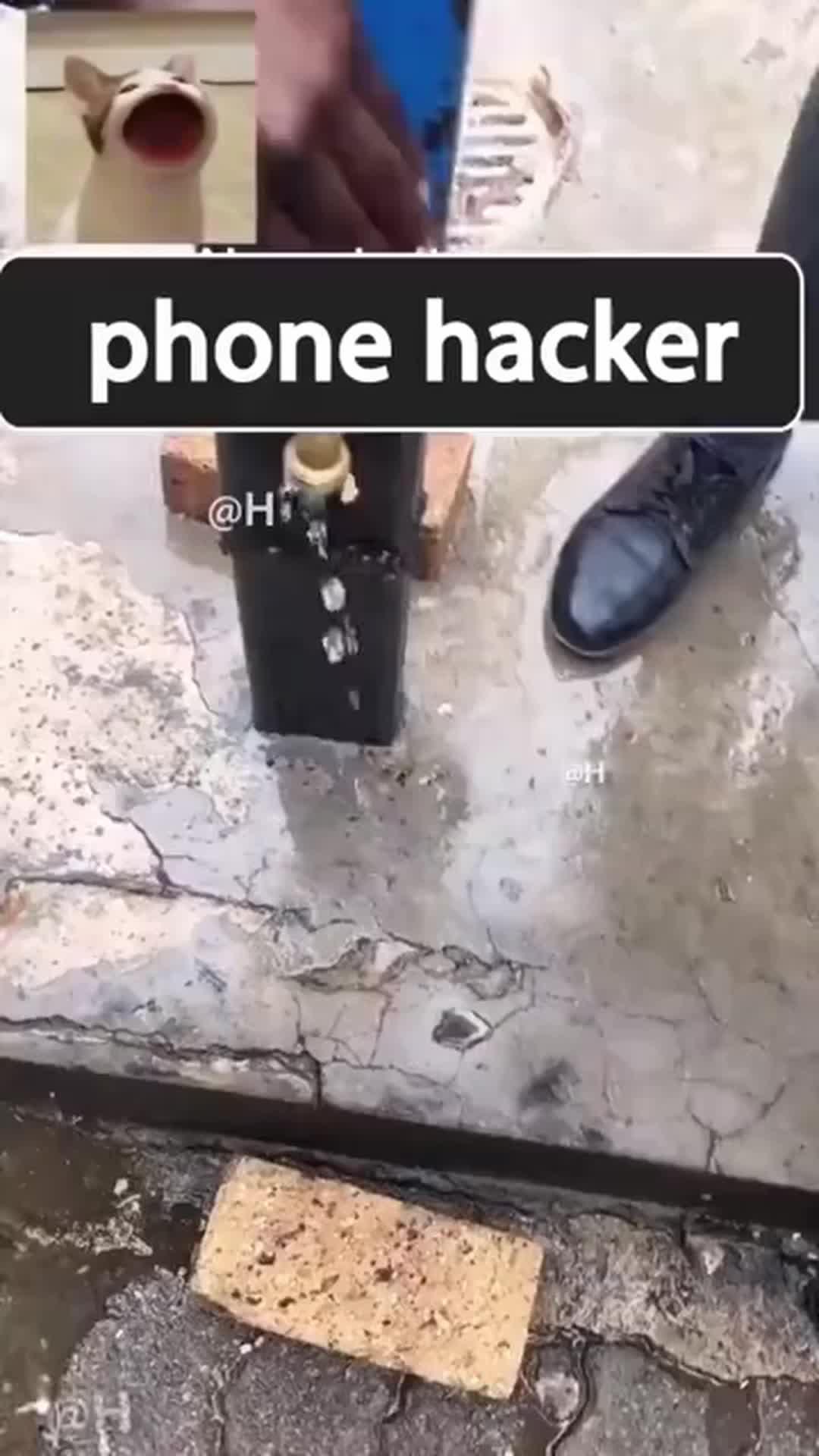 Free and Useful APP
