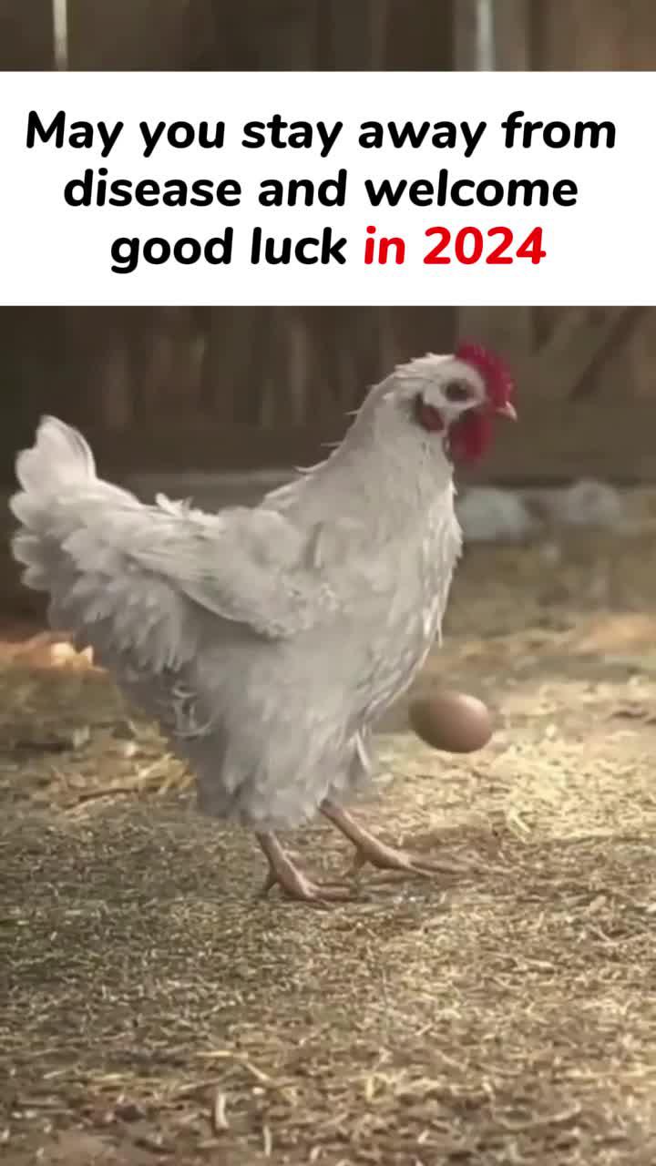 Experience the timeless words of KJV Bible anywhere, anytime, and enrich your soul.