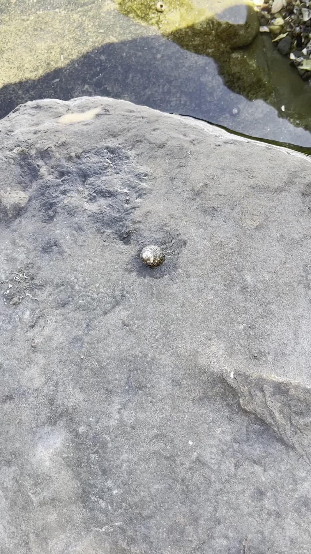 マジでお金ない時はコレ一択！