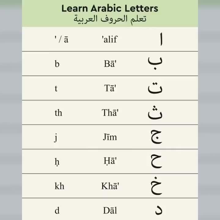 Voice, Text, OCR translation.