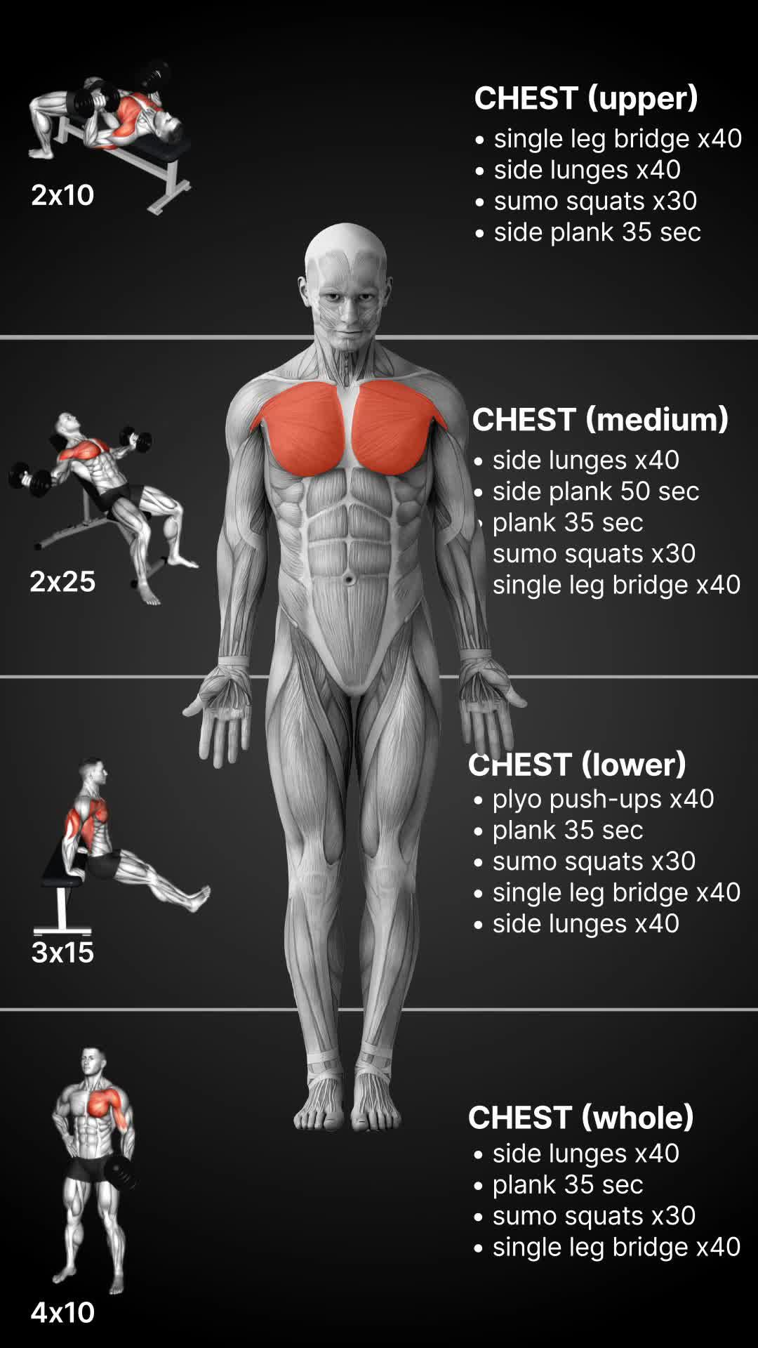 Transform your body with MadMuscle! Start your weight loss journey today!