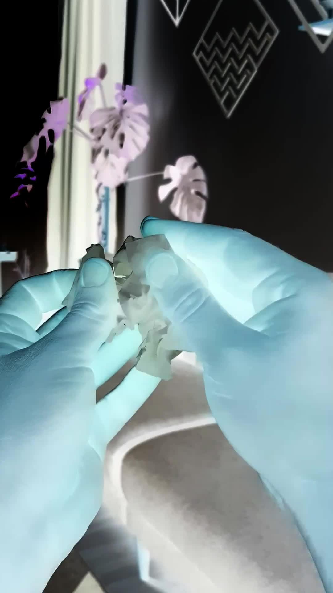 Turn your image or text into music!