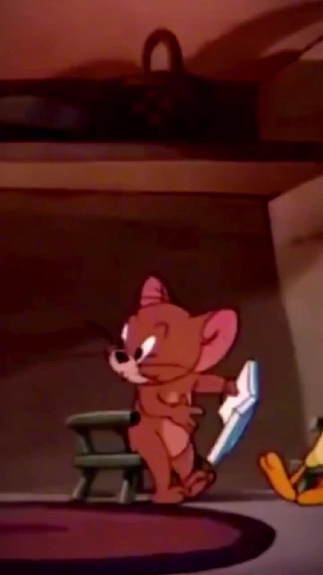 Identify any plant & diagnose plant diseases instantly!