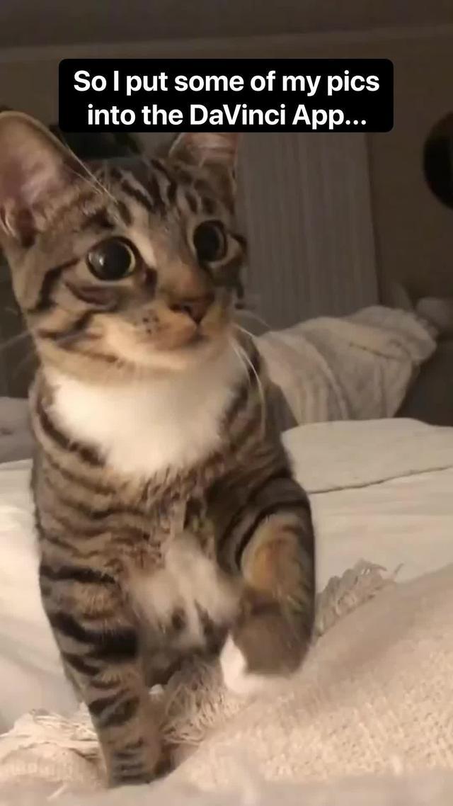 How would AI paint your fur baby?