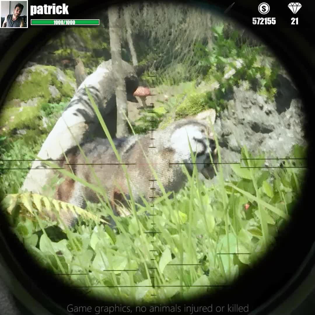Aim Well, Make the Shot!