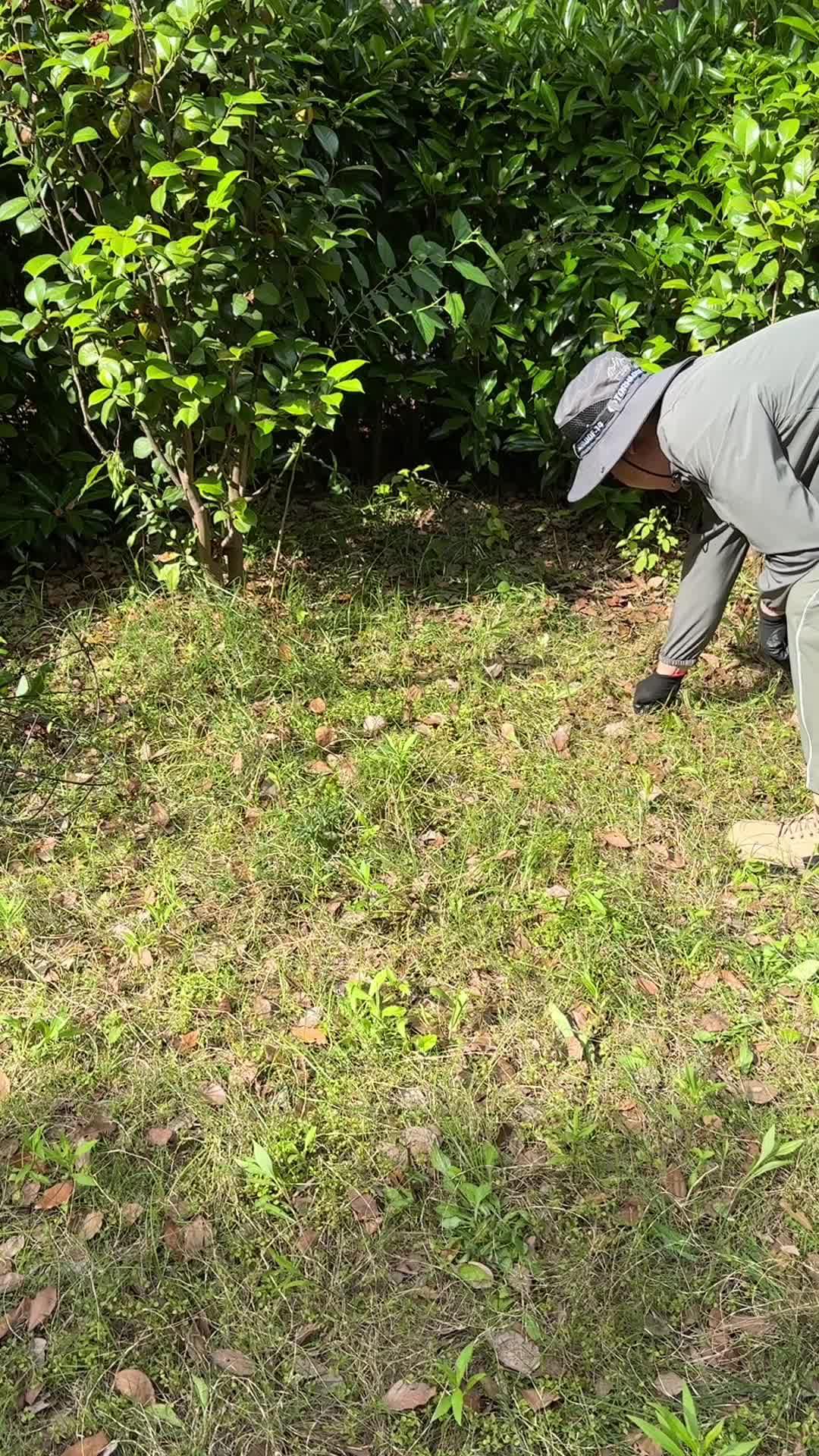 Temu garden must-haves!!!❤️Transform your garden into a haven of comfort and style with Temu! 🏠✨ Get ready for @temu deals! ❤ Ships from US Warehouse #temusale #temuhaul #temu #temufinds #temudecor #temuhome #homefinds #cocyhome #cheapdecor #tryonhaul #homemusthave #fyp