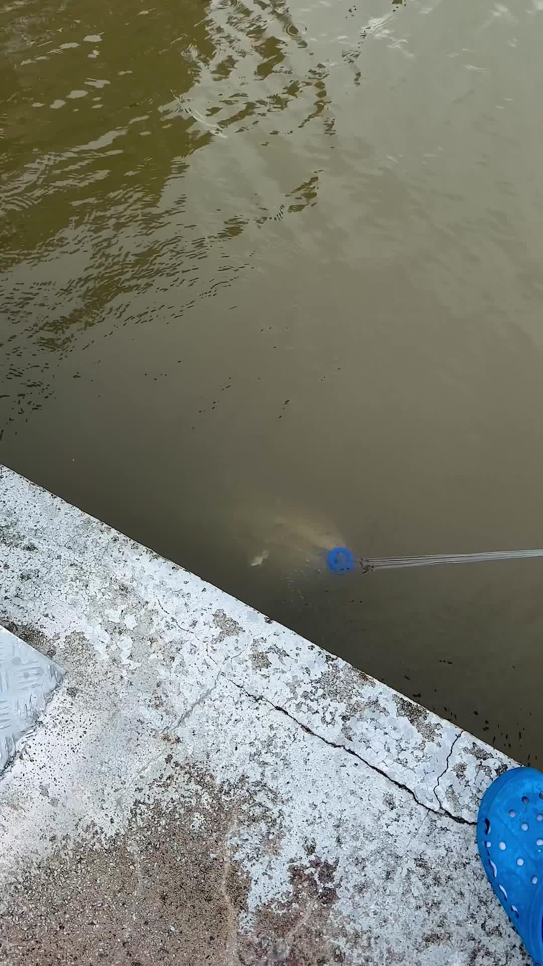 FREE GIFT FOR YOU🎁😍 Temu is now giving away gifts for $0! Time is ticking⏰Click the card get your gift today! #temu #shoptemu #temuhaul #freegift #giveaway