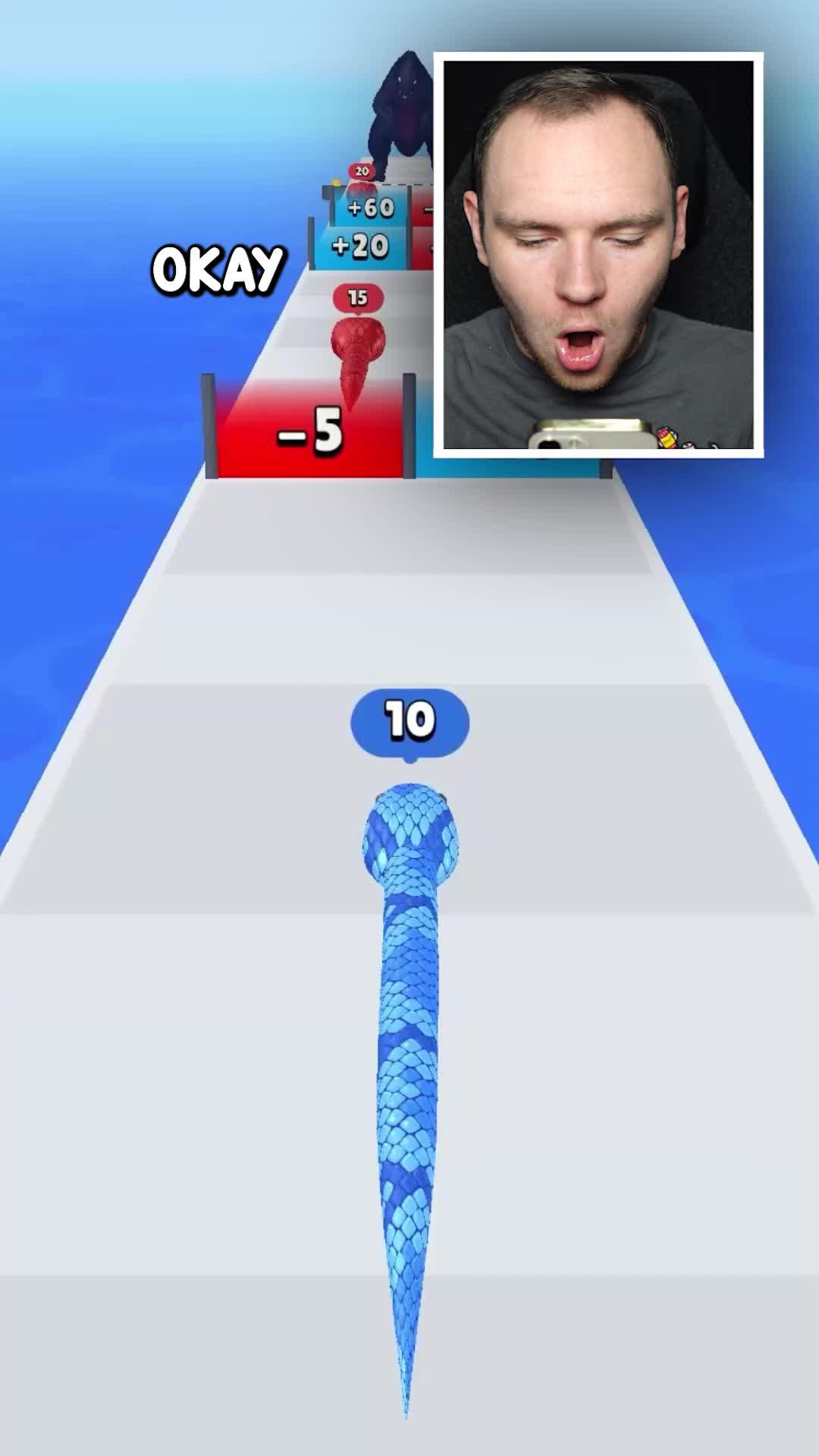 Race to Victory: Conquer the Snake Run