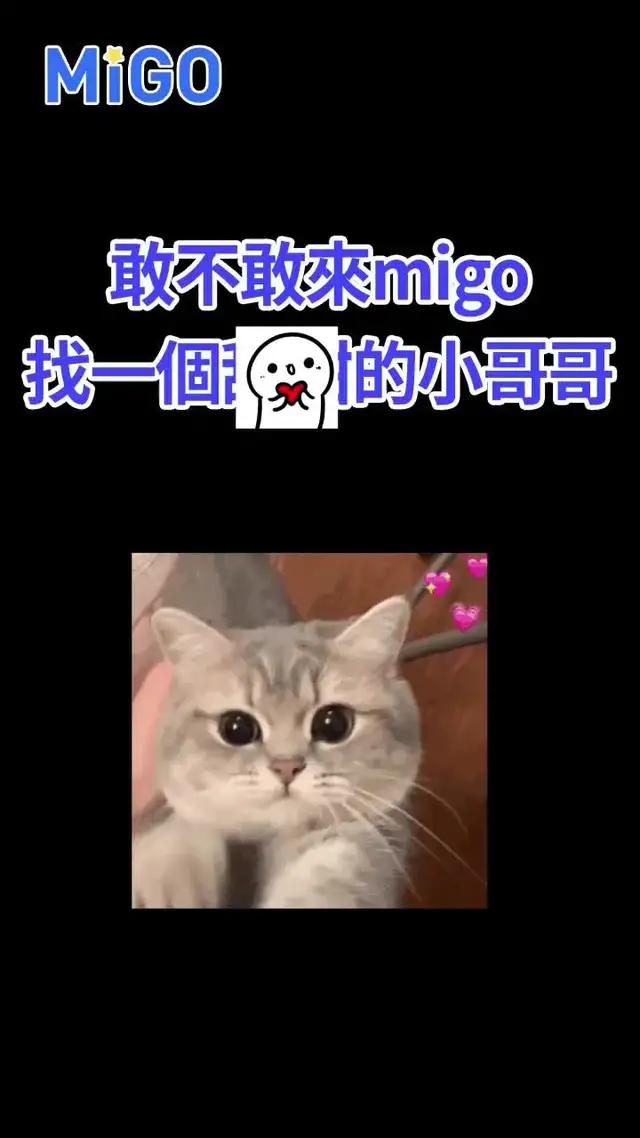 來MIGO！小哥哥在線熱聊，從此告別漫漫長夜 #聲控 #哄睡 #migolive