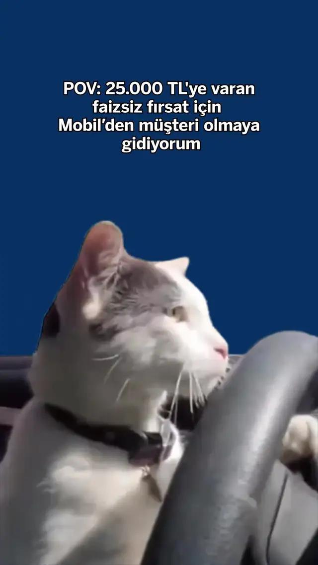 15.000 TL'ye varan faizsiz taksitli nakit avans ve 10.000 TL'ye varan faizsiz krediyi kaçırmayın.