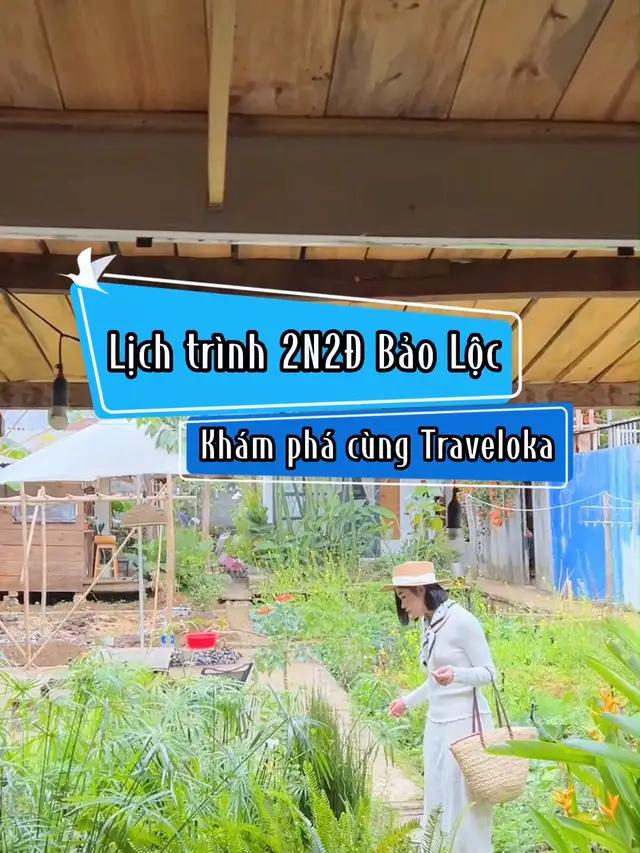 đi Bảo Lộc đổi gió cũng "zịu" lắm nè ~ #traveloka #travel #dulich #Blao #BaoLoc