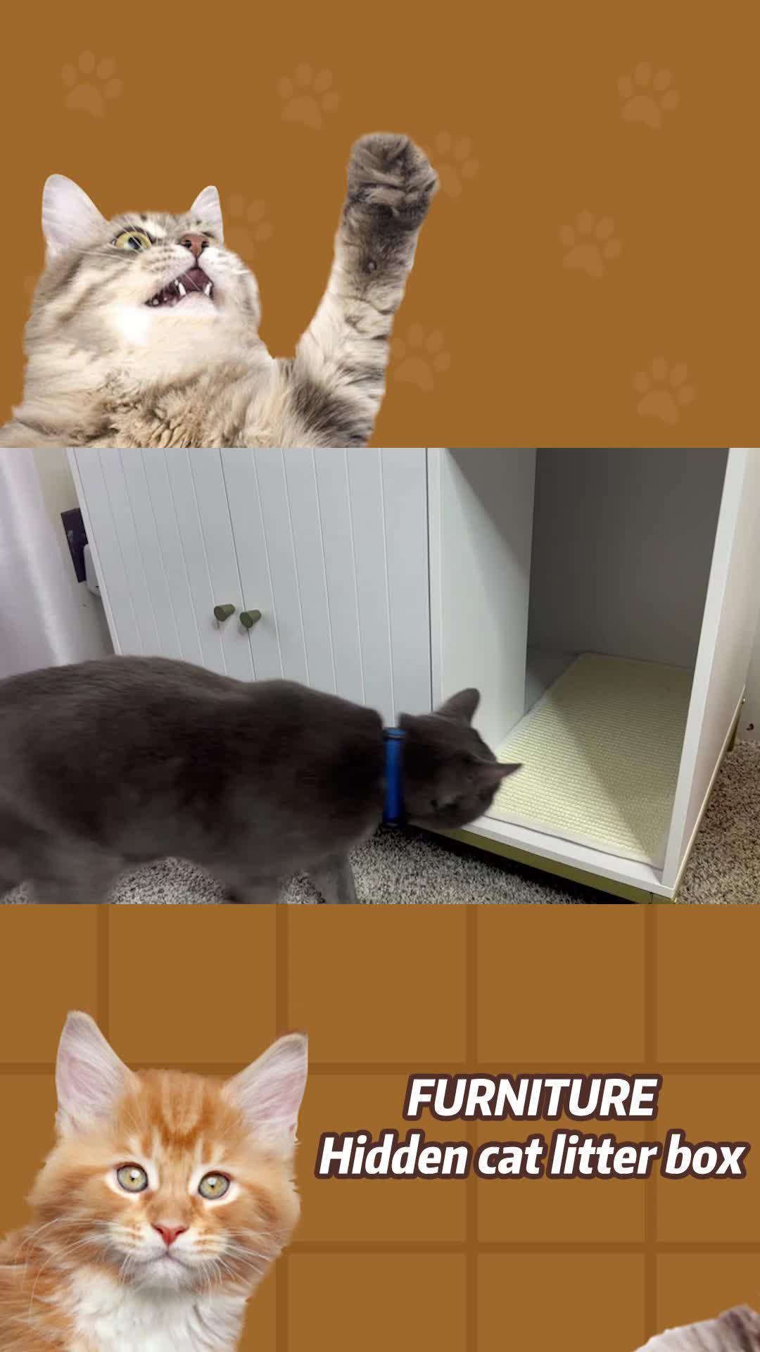 Pawsitively purrfect gift for our furry friends! 🐾 Because every wag and purr deserves to be celebrated. 🎁💕 #FurryLove #PetGifts #CherishedMoments #PetsOverEverything