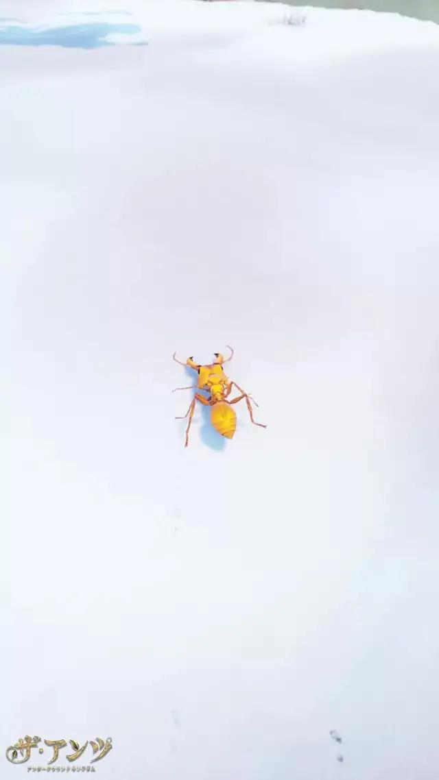 最も栄光で最大のコロニーでアリの支配者になる。