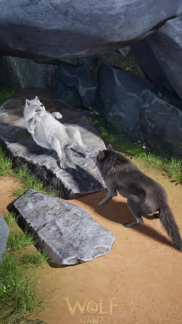 神秘的で捉えられない大自然の世界を探検しよう。