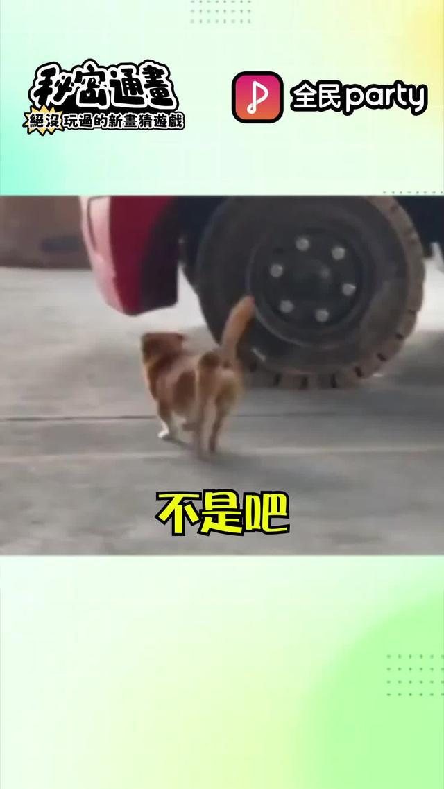 「秘密通畫 」絕沒玩過的全新畫猜遊戲