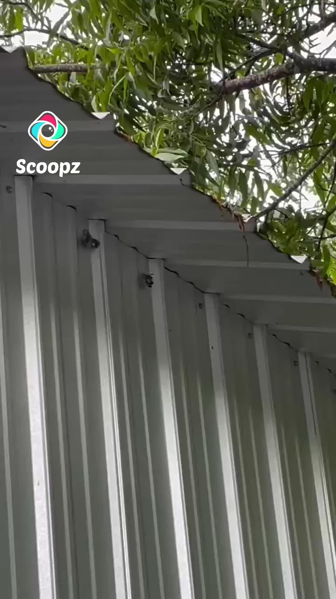 Stories lit? Facts straight? Share yours. Hit download for free.