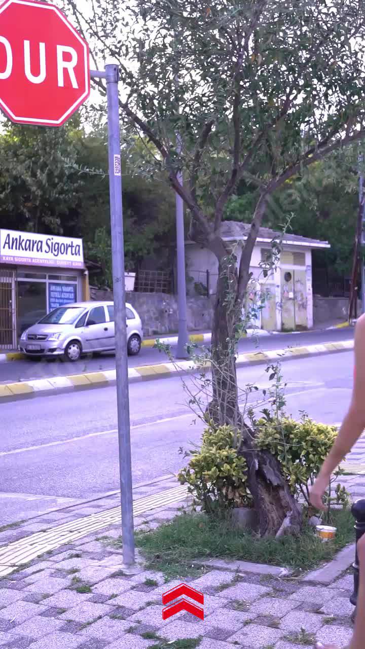 写真を撮って翻訳してください