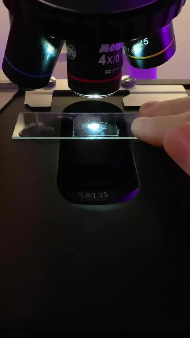 Install Instagram and get in your element.