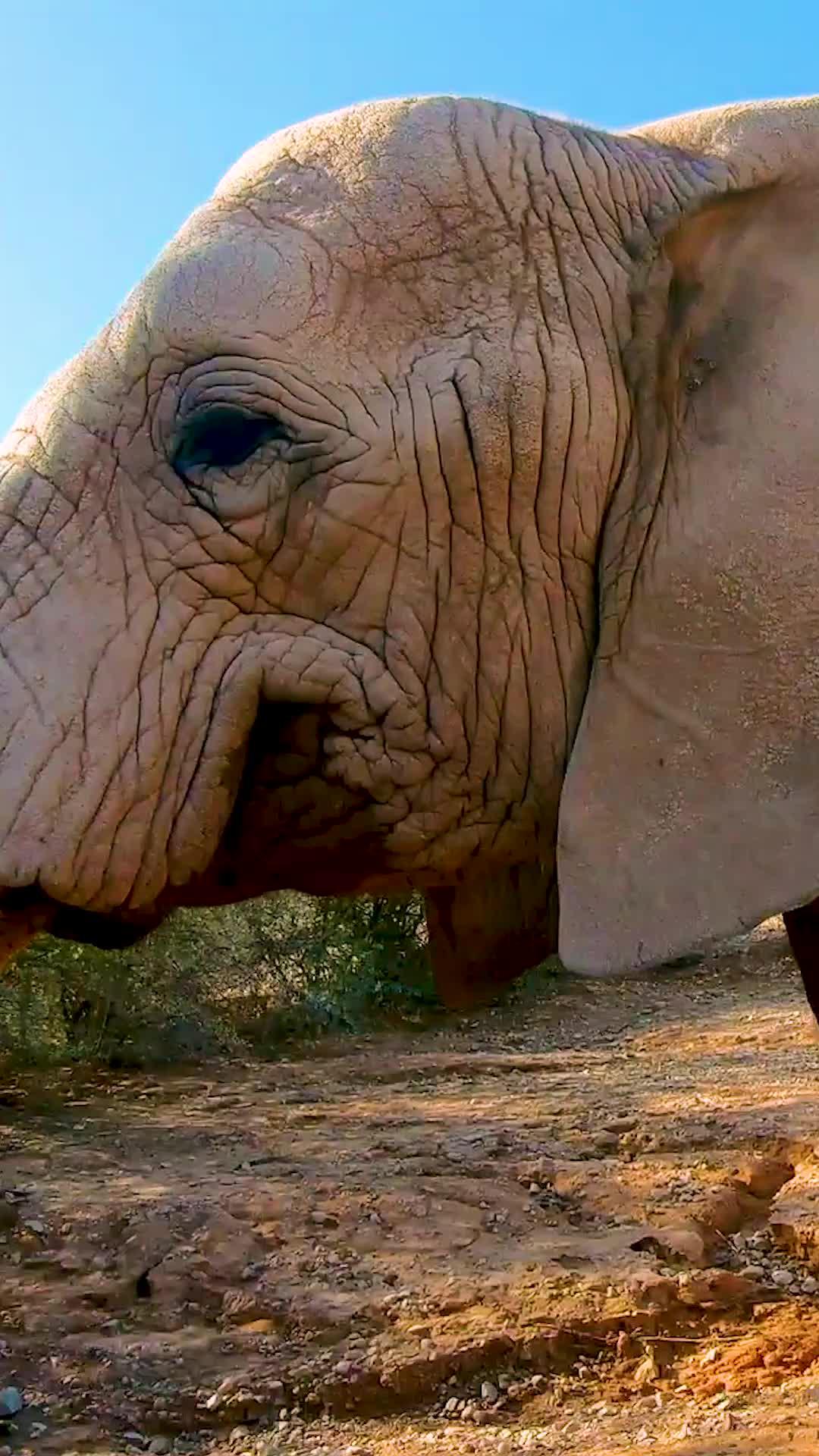 Do more with Viator!