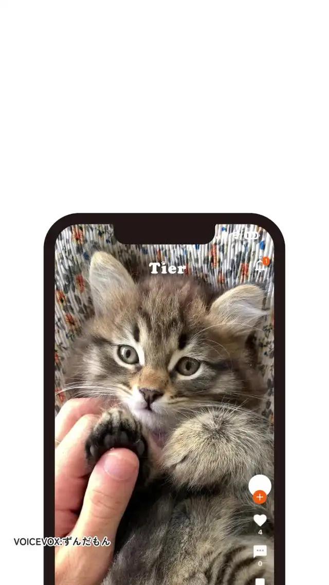 コミュニティ型動物SNS Tier まずはアプリを無料ダウンロード!!