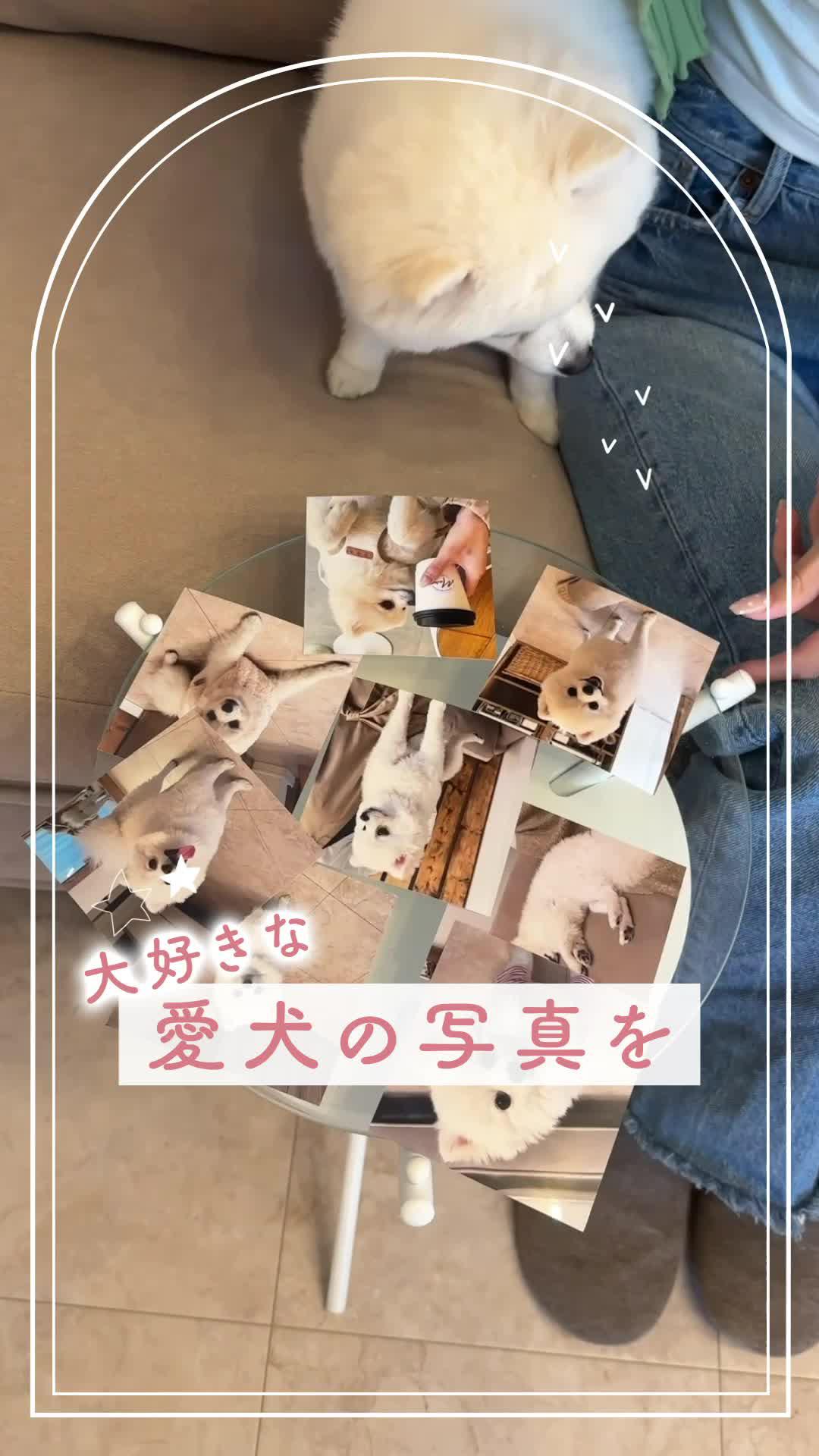 アルバスで毎月思い出を形に残してみませんか？写真を選ぶだけで自宅に写真が届く！