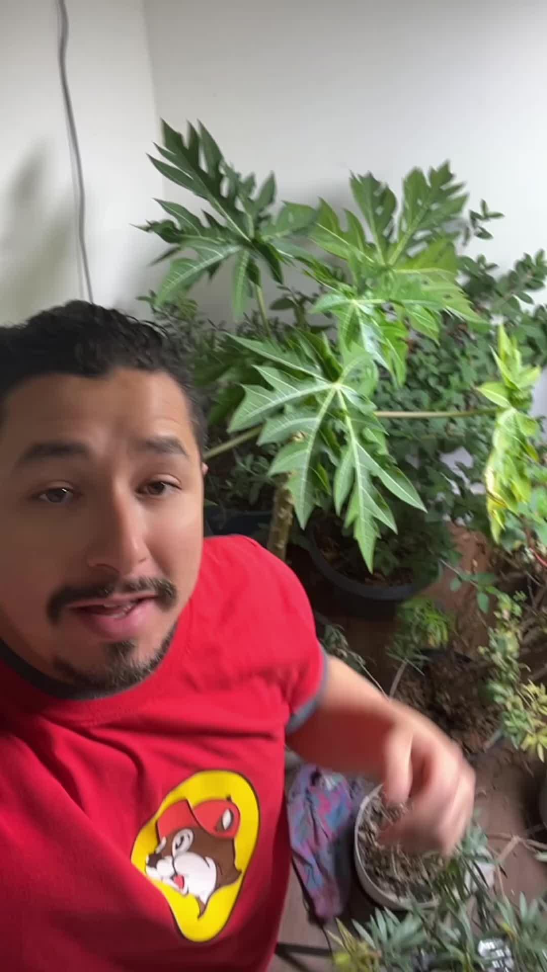 Identify any plant & diagnose plant diseases instantly!