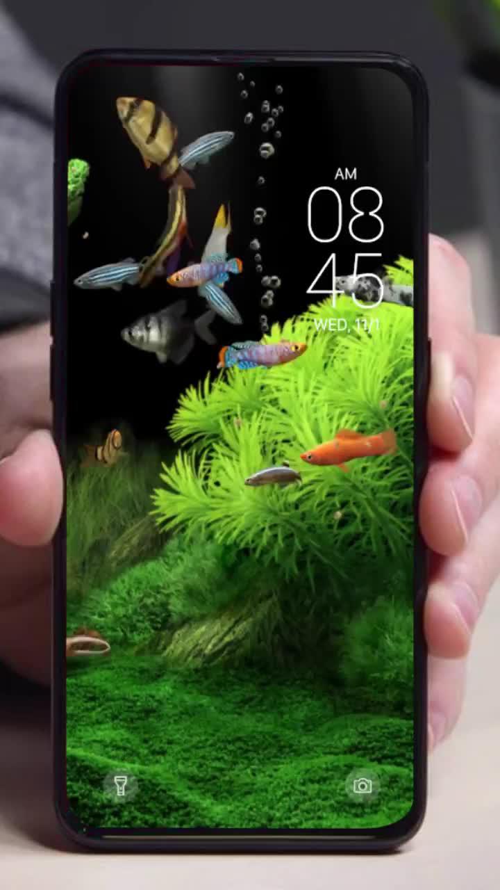 Live wallpaper for free! Try now!