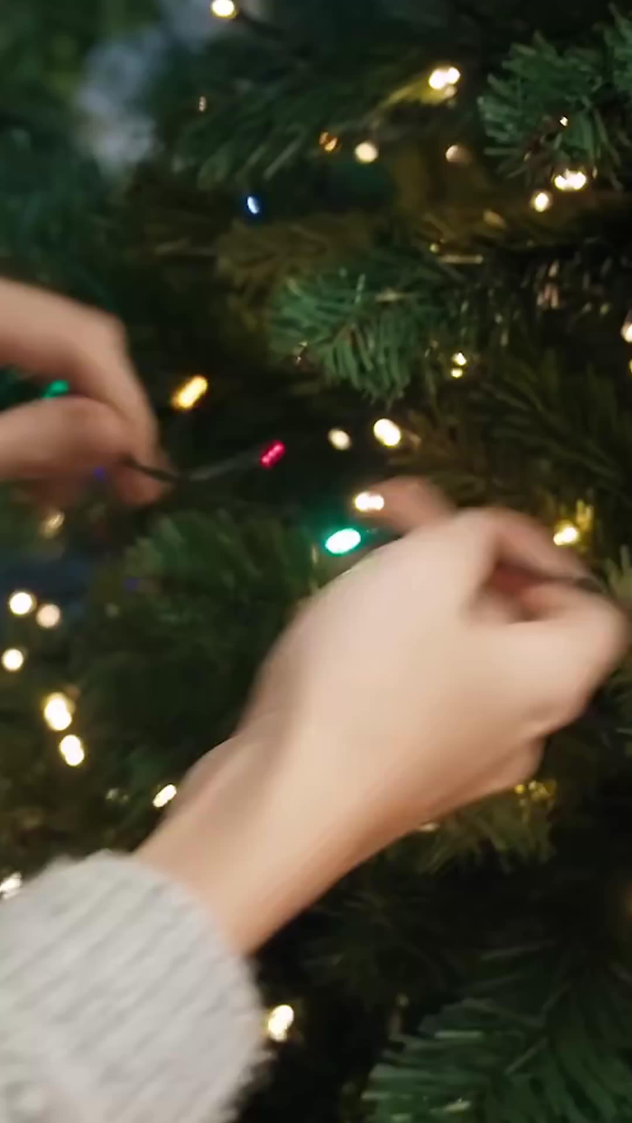 Need Cash Now? Get up to $500 Anytime. No Credit Check. No Interest.