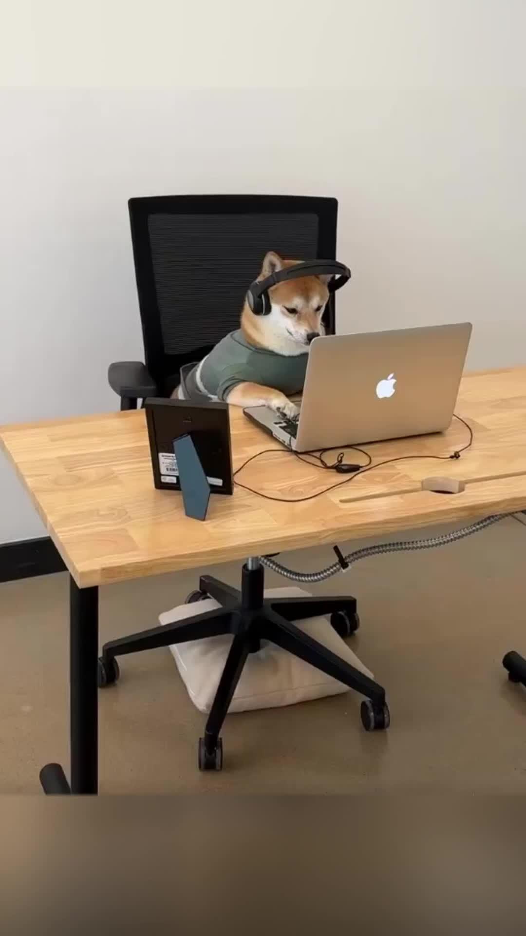 Powerful Transcription: Deepting in Action