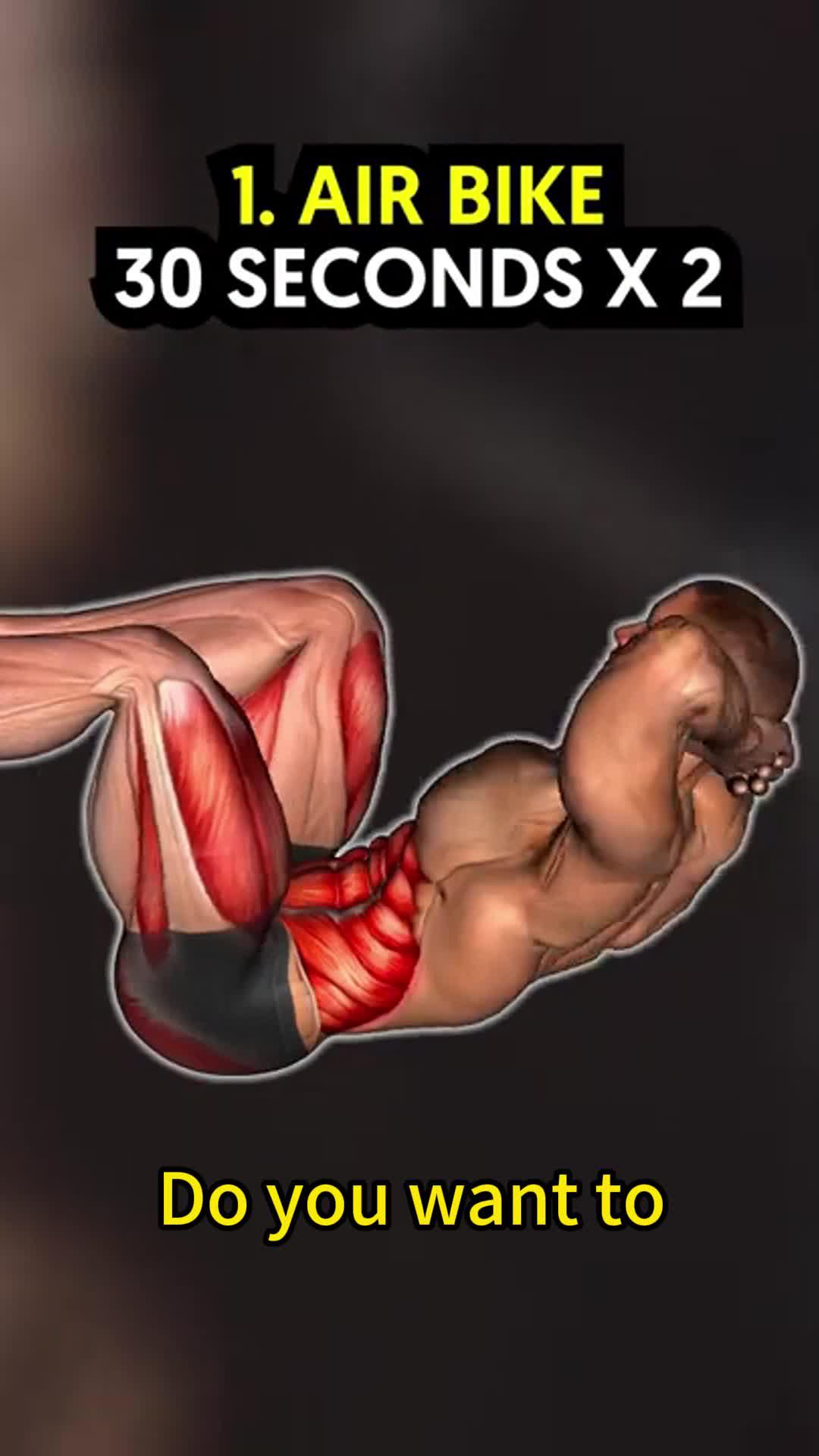 Easy Muscle is a workout application designed for fitness enthusiasts.