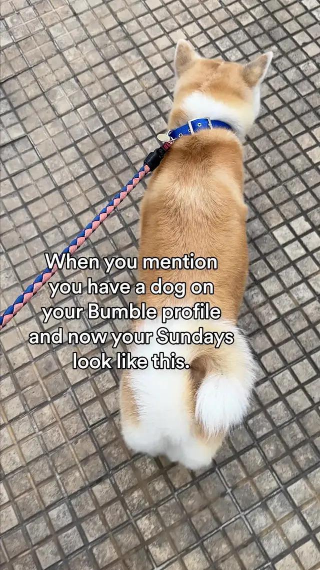 Want to meet a fellow dog lover? There's an Interest Badge for that. Date now on Bumble.