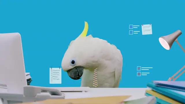 최고 인기 무료 방치형 RPG가 한국에 온다!