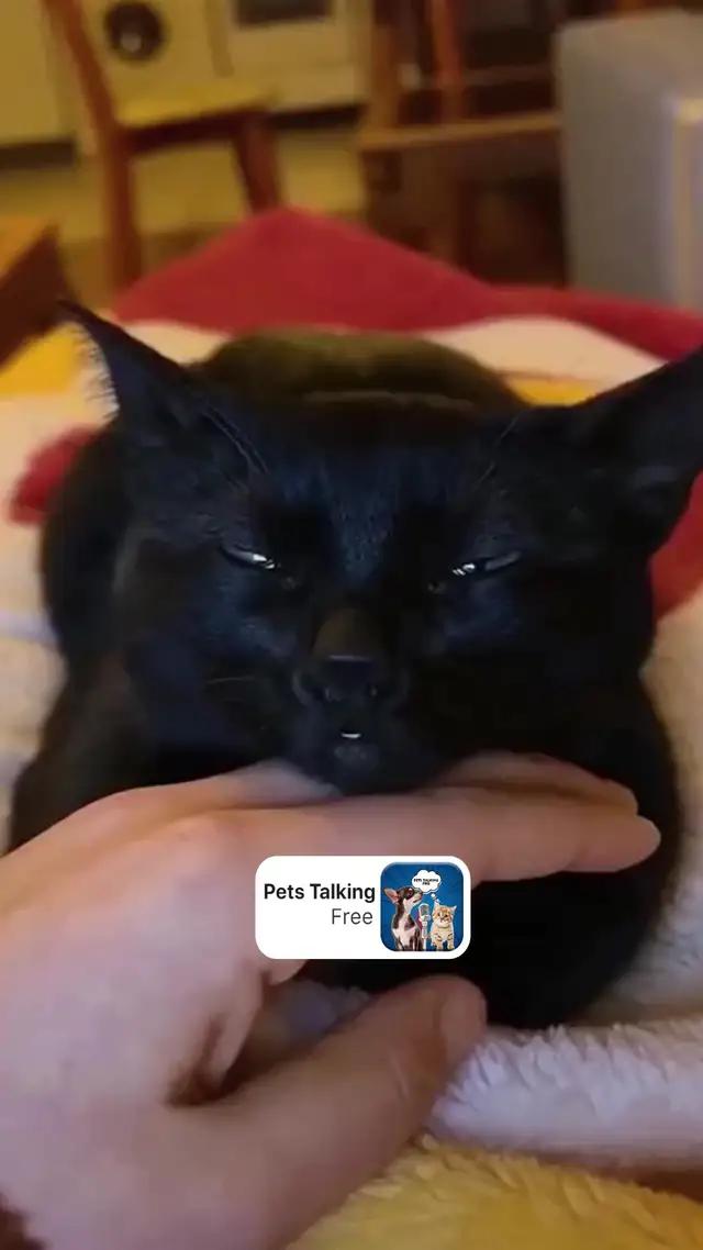 التحميل الان