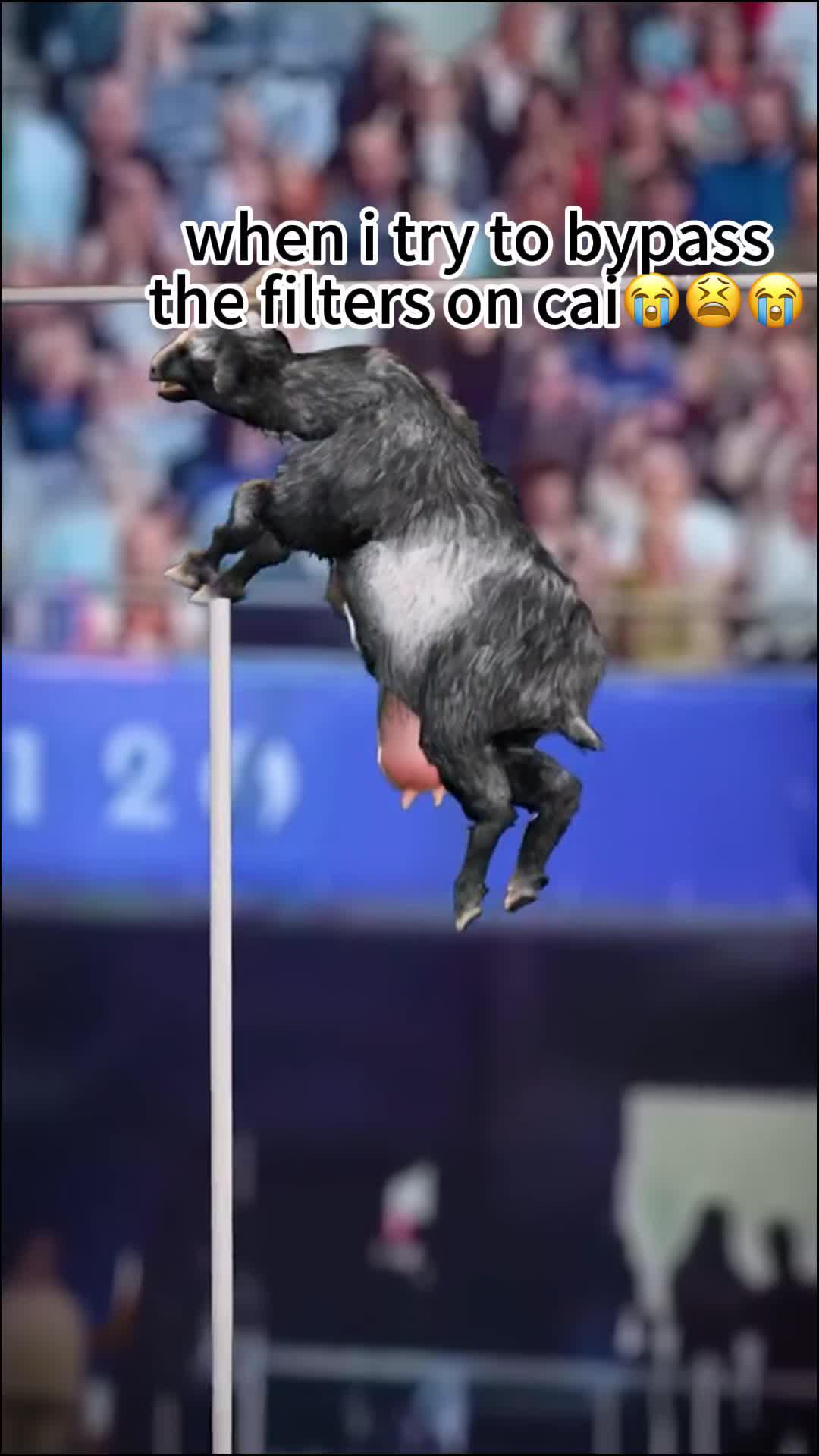 Life in Poly.ai is so much FUN!