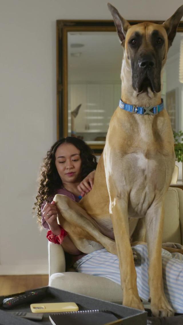 Chewy leads the pack with 3,000+ trusted brands, all on the Chewy app!