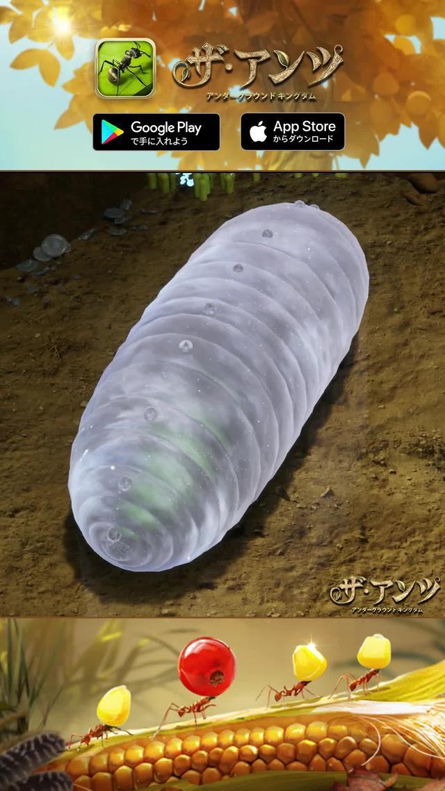 生存と繁栄のために