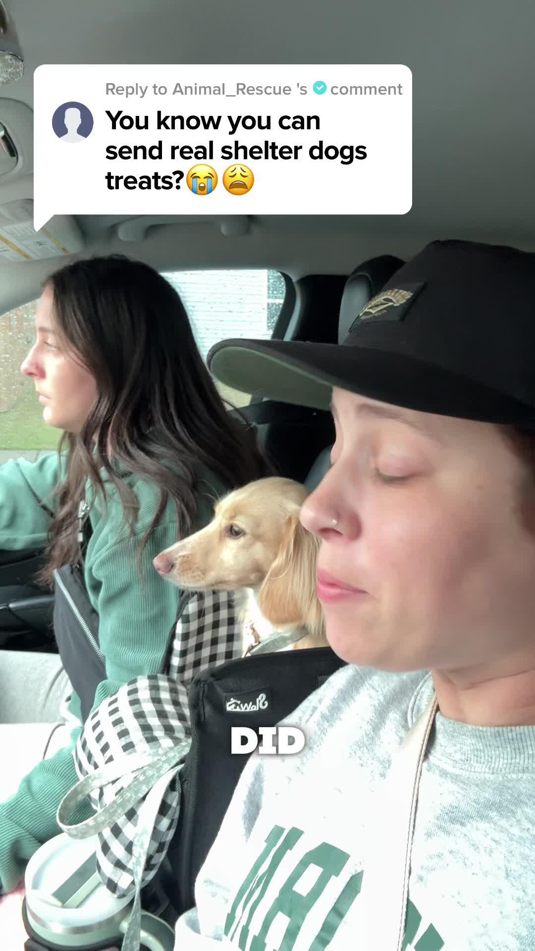 Play & send REAL goodies, and know once your dogs find a home!