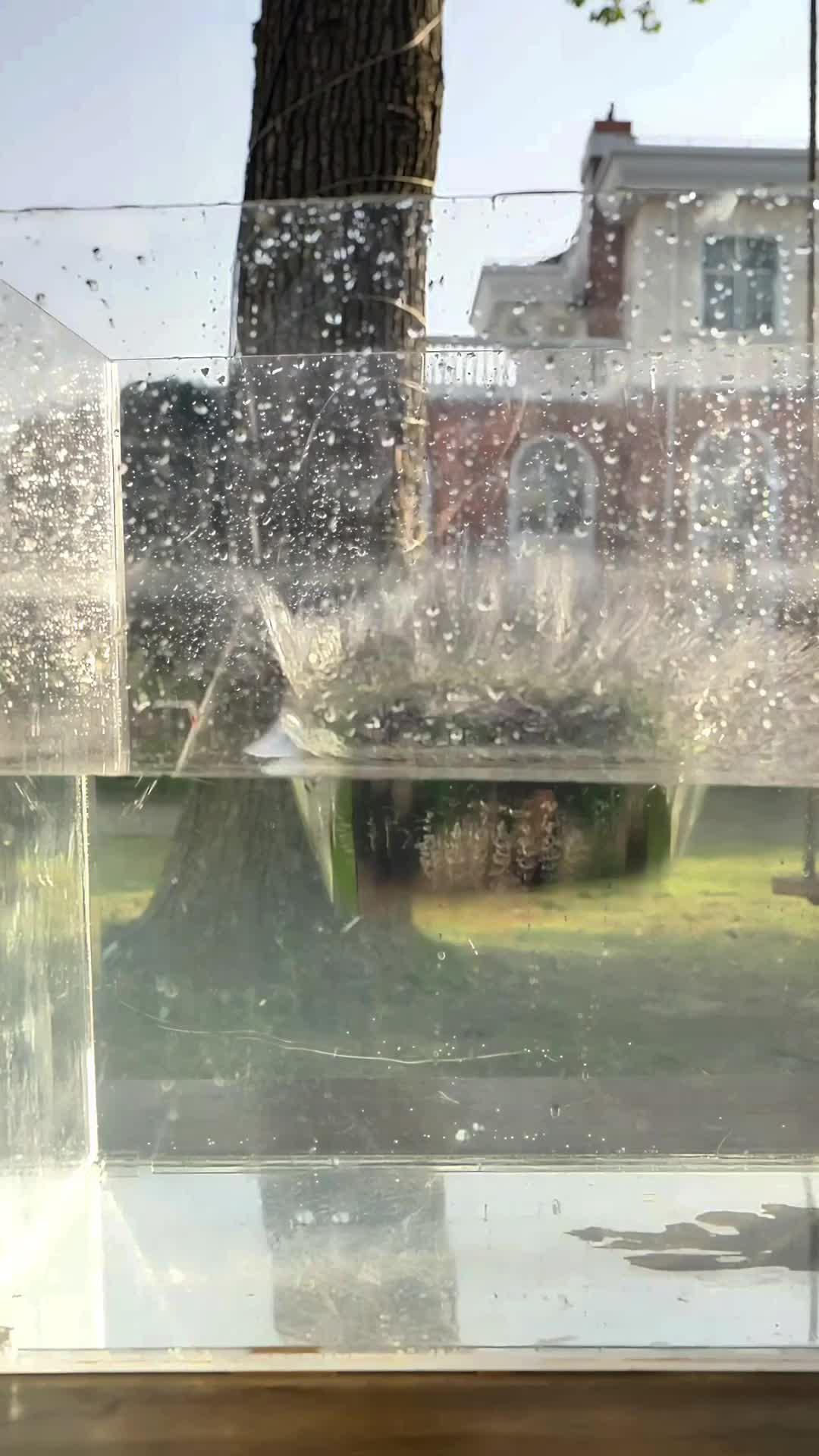 🆓FREE GIFT!!!! $0 Temu Haul!!!❤️⚡🎁Click the card to get your gift today! *Only for new app users with qualifying orders #Temu #zerotemuhaul #shopwithme #tryonhaul #freetemuhaul