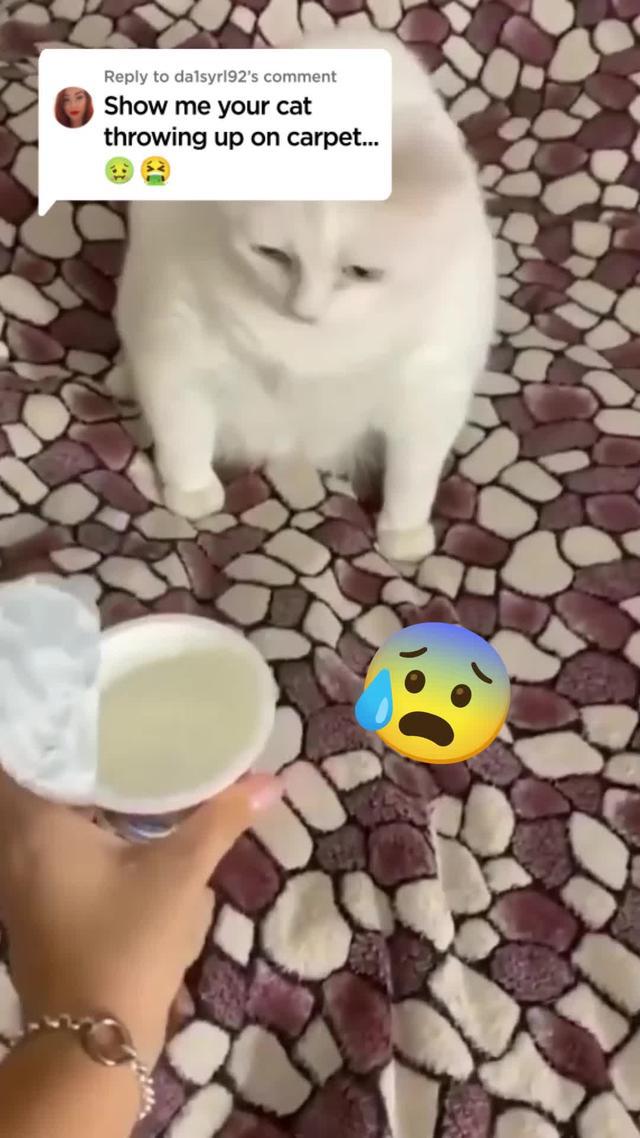 Can you build your dream restaurant