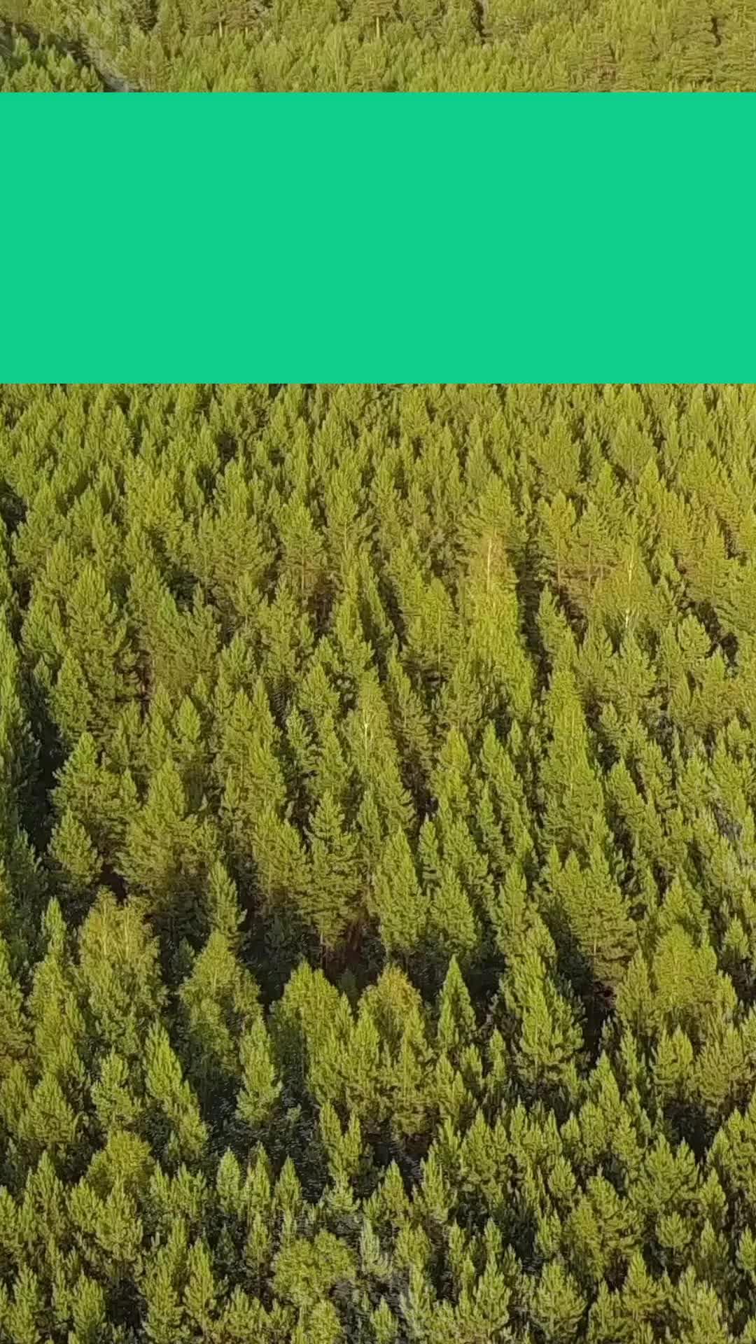 Saving the Planet can be fun. Connect, Inspire, Act! Download the App!